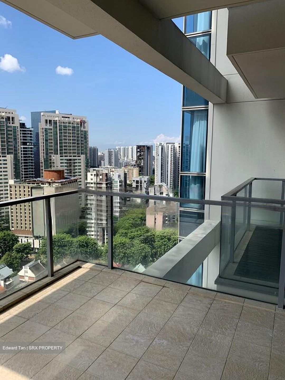 Residences @ Evelyn (D11), Condominium #638601441